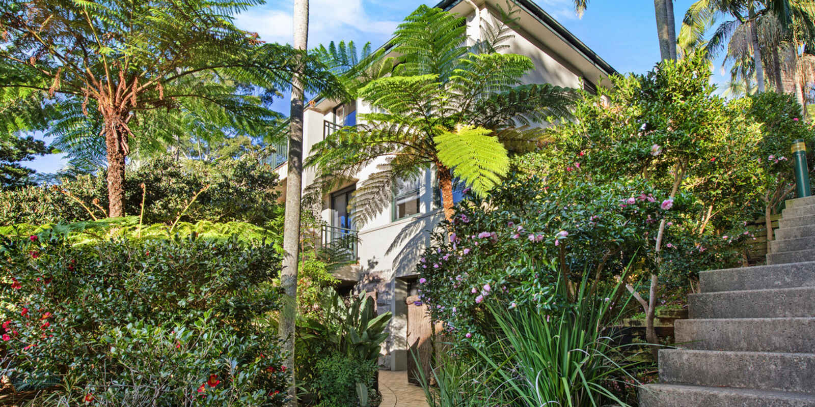 601/433 Alfred Street North Neutral Bay
