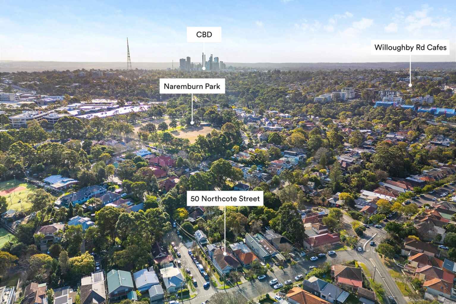 50 Northcote Street Naremburn 50 Northcote Street Naremburn