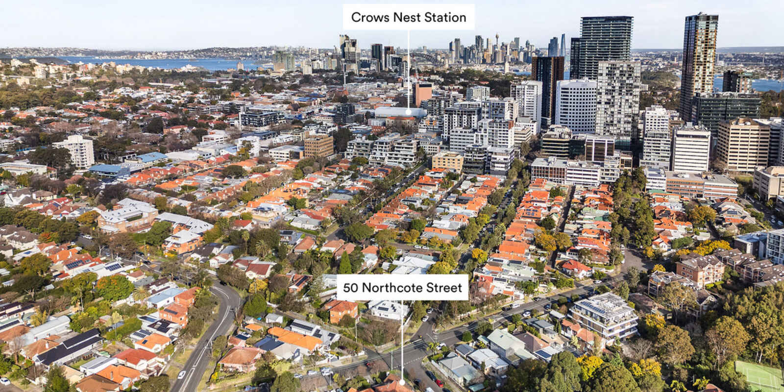 50 Northcote Street Naremburn