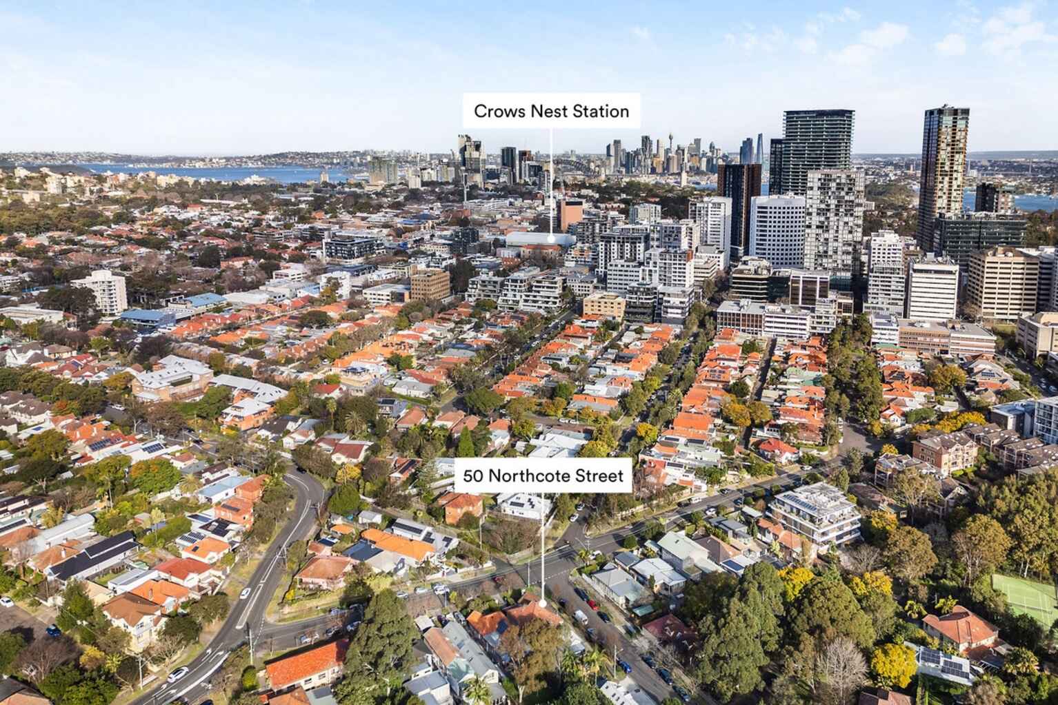 50 Northcote Street Naremburn 50 Northcote Street Naremburn