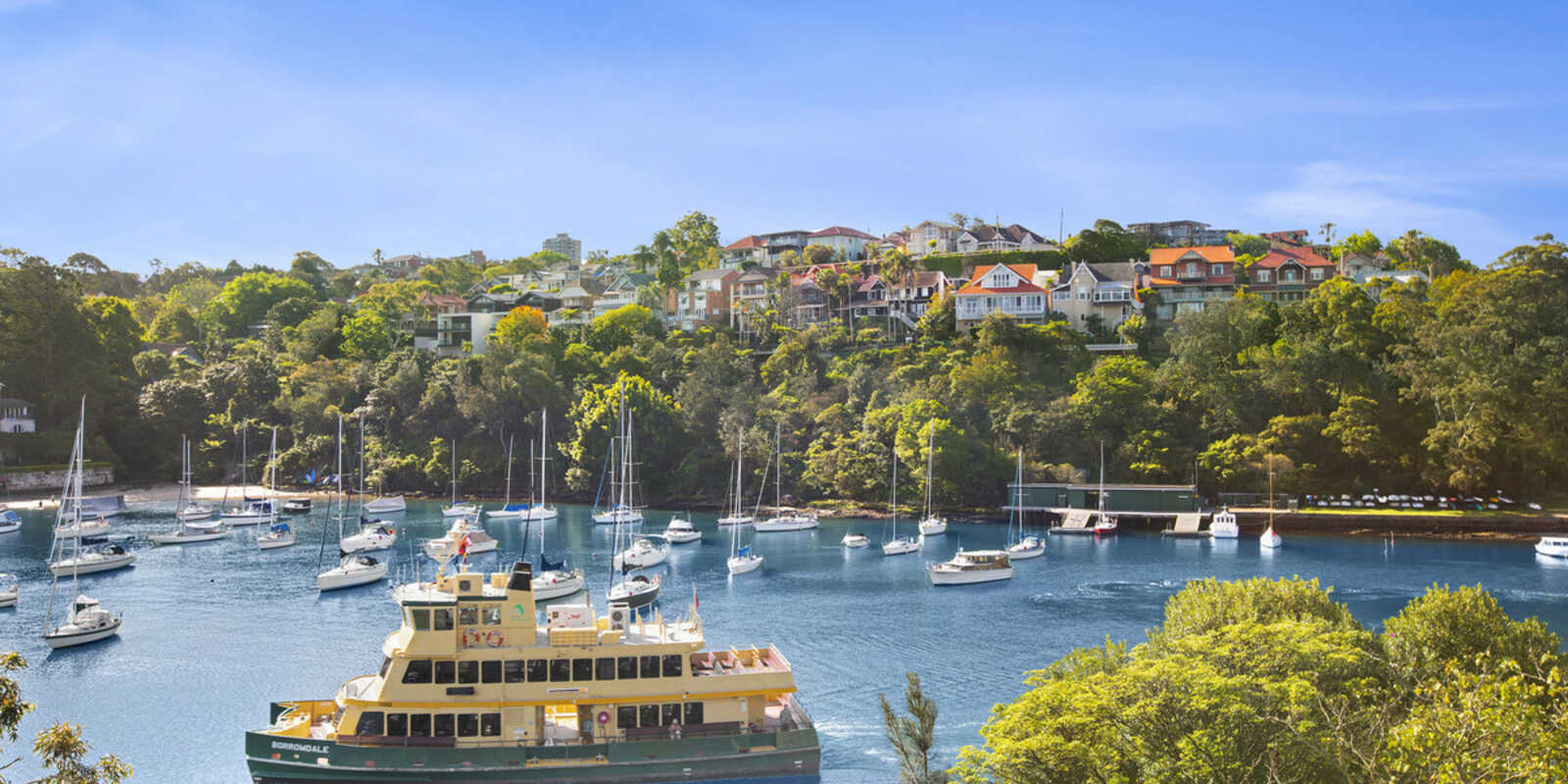 2/6 Rose Crescent Mosman 2/6 Rose Crescent Mosman
