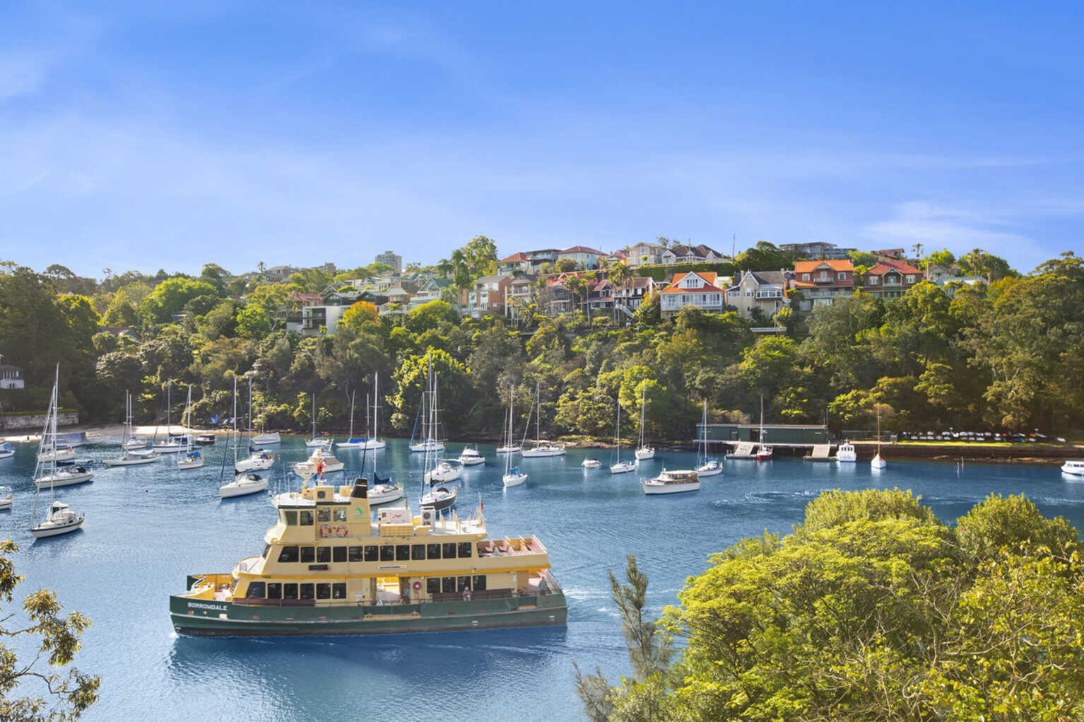2/6 Rose Crescent Mosman 2/6 Rose Crescent Mosman