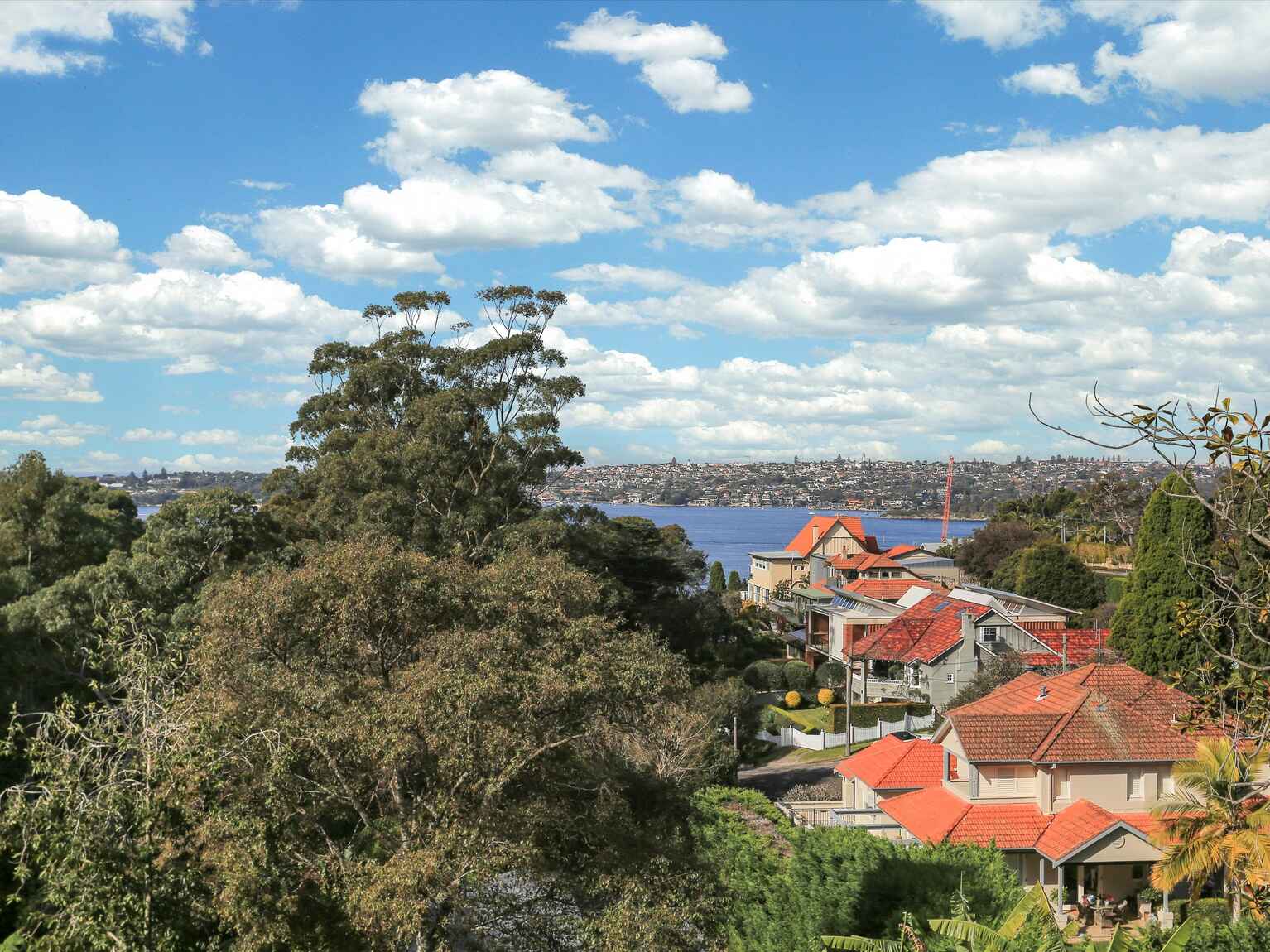 3/11A Silex Rd Mosman