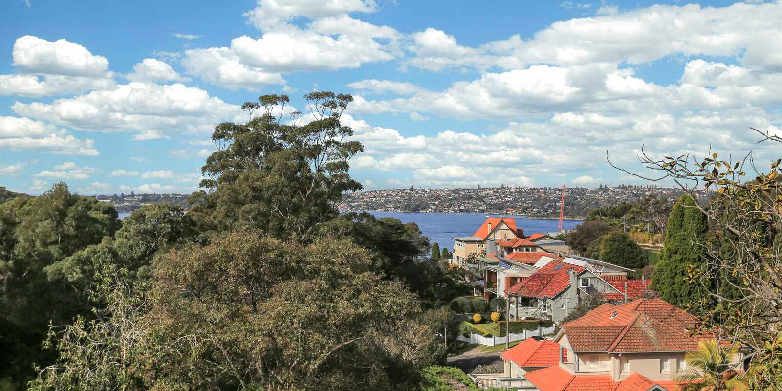 3/11A Silex Rd Mosman