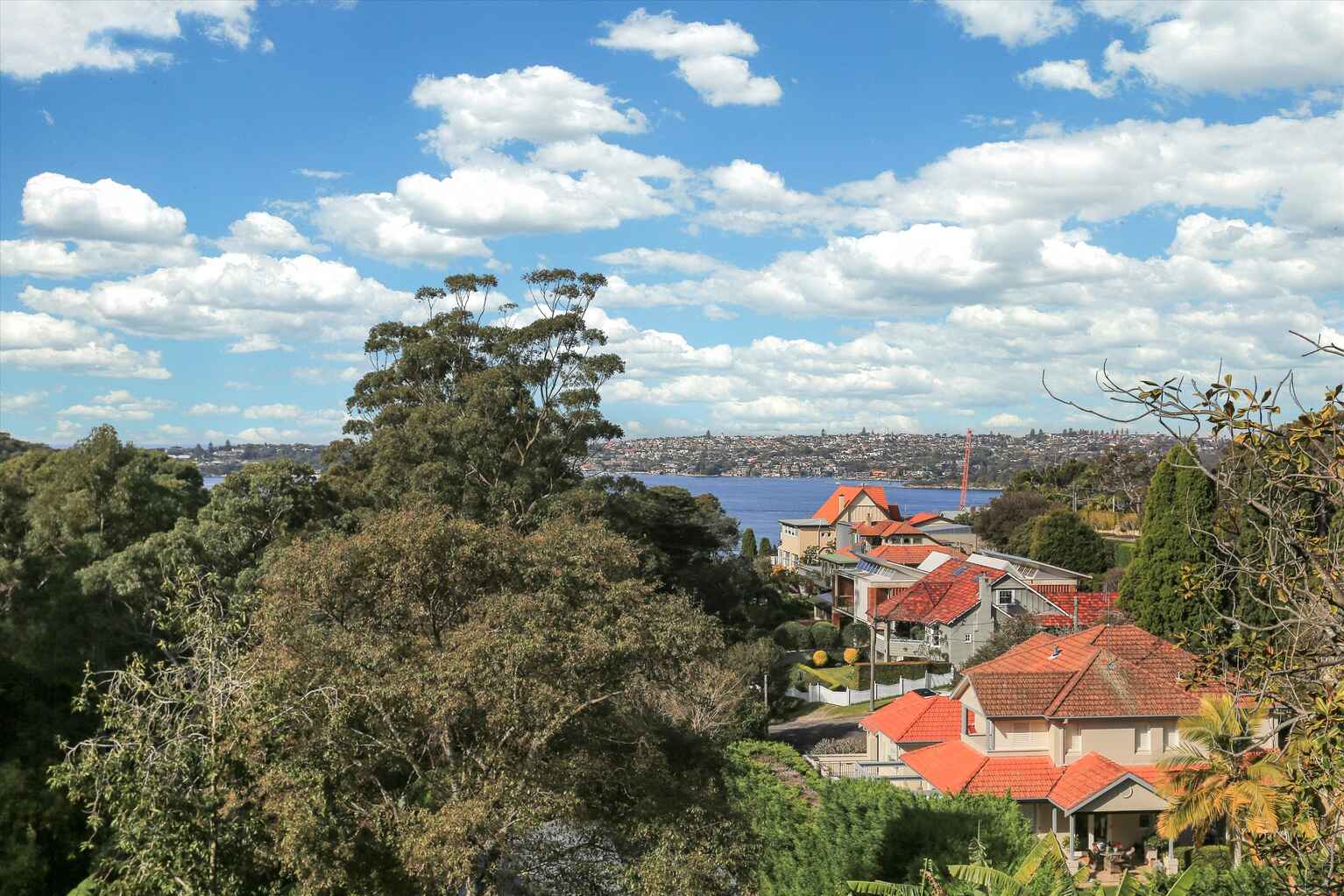 3/11A Silex Rd Mosman