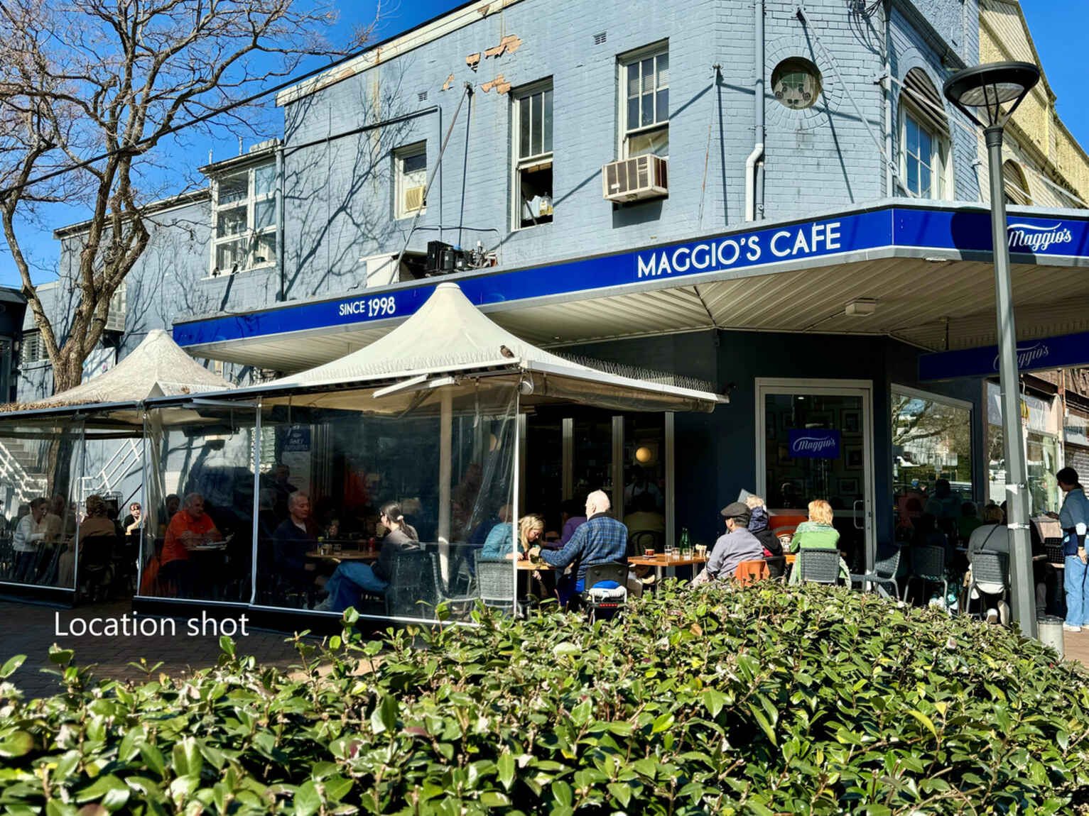 101/467 Miller Street Cammeray