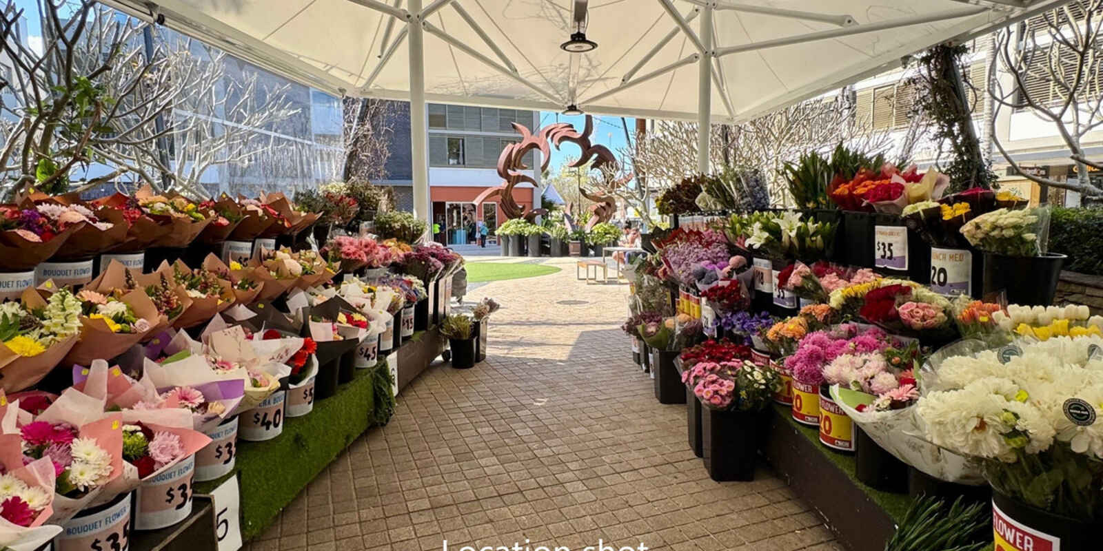 101/467 Miller Street Cammeray