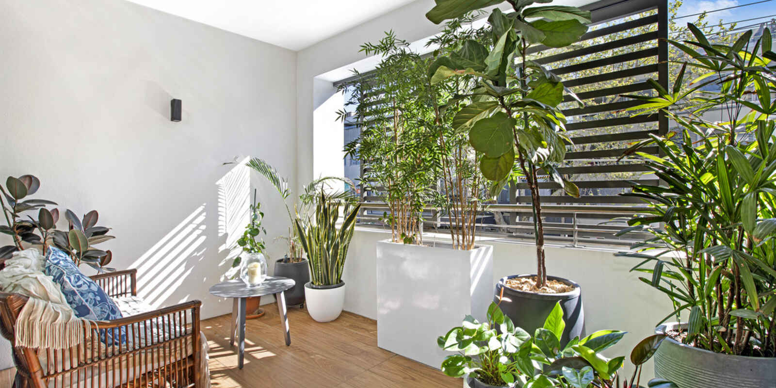 101/467 Miller Street Cammeray