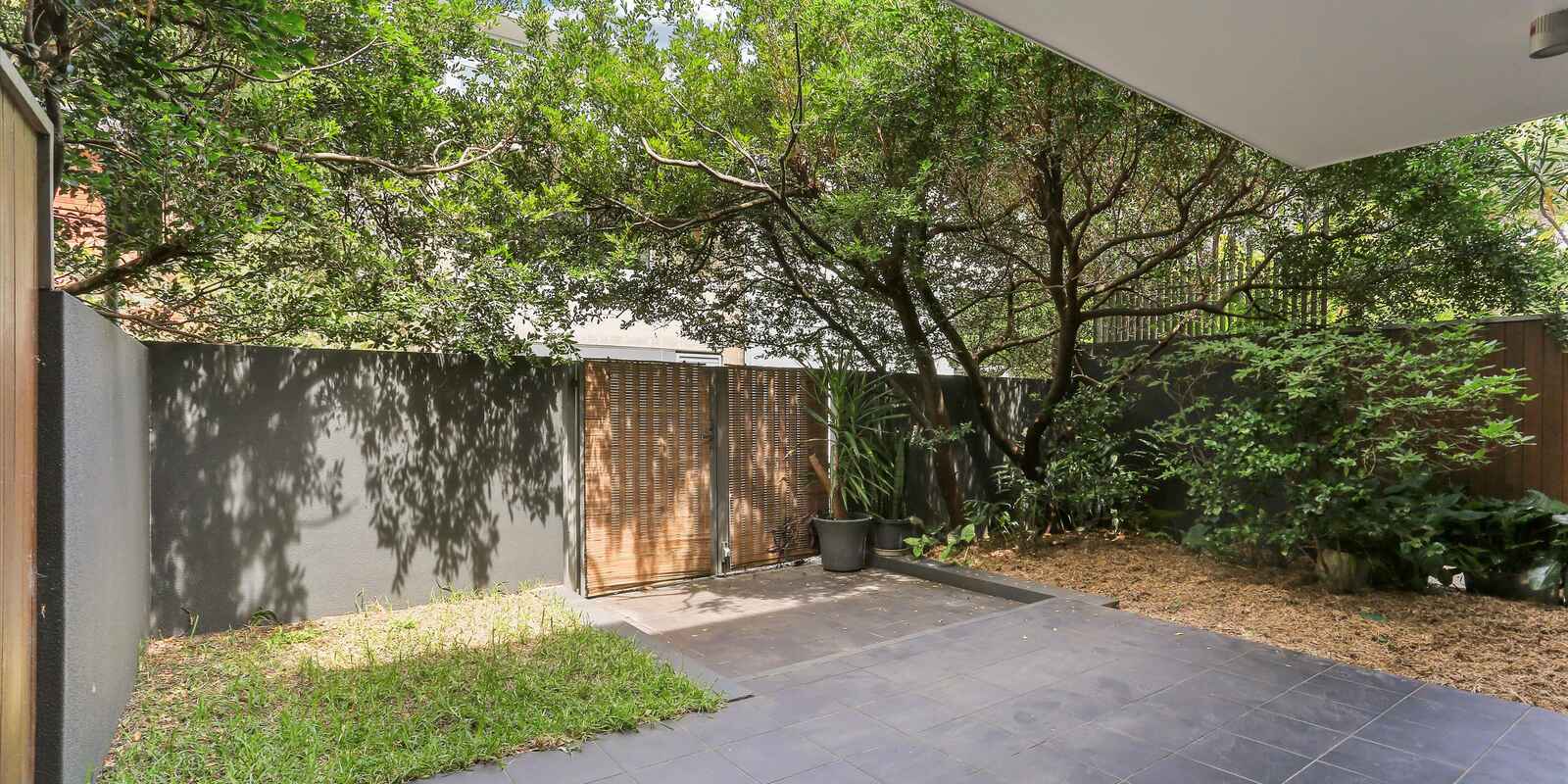 125/14 Griffin Pl Glebe