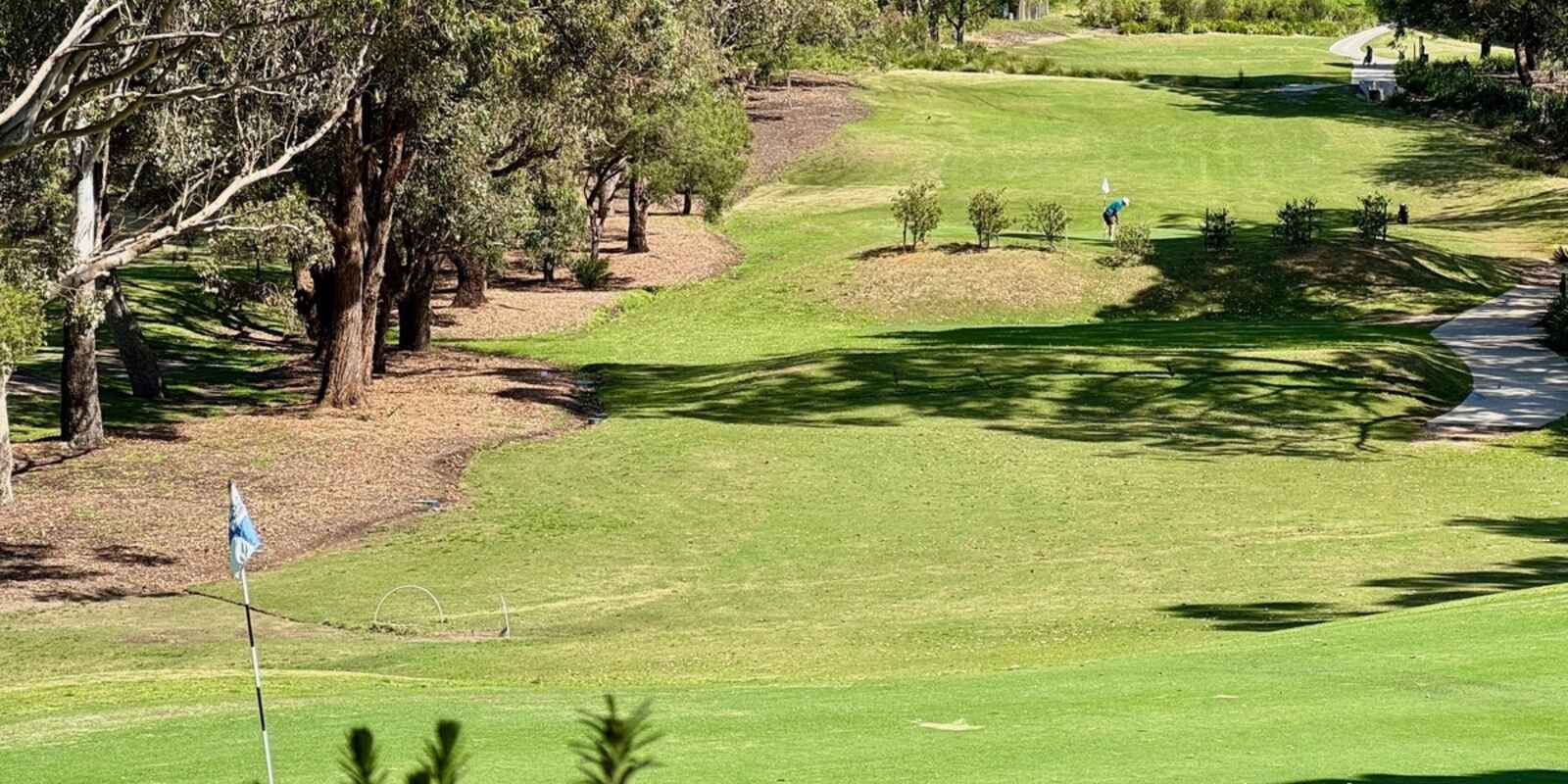 101/467 Miller Street Cammeray