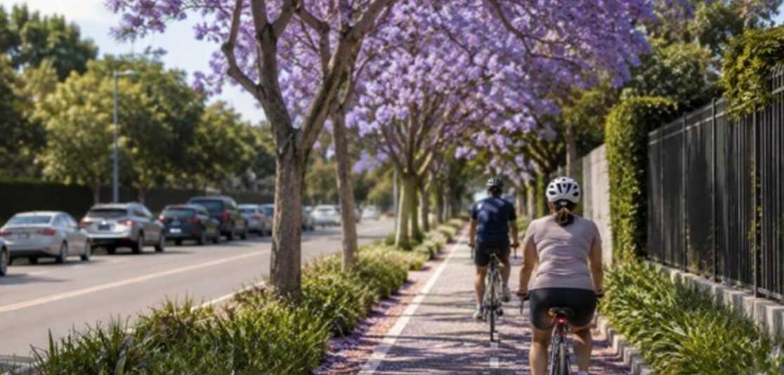 Why the Lower North Shore is becoming one of Sydney&rsquo;s most connected addresses