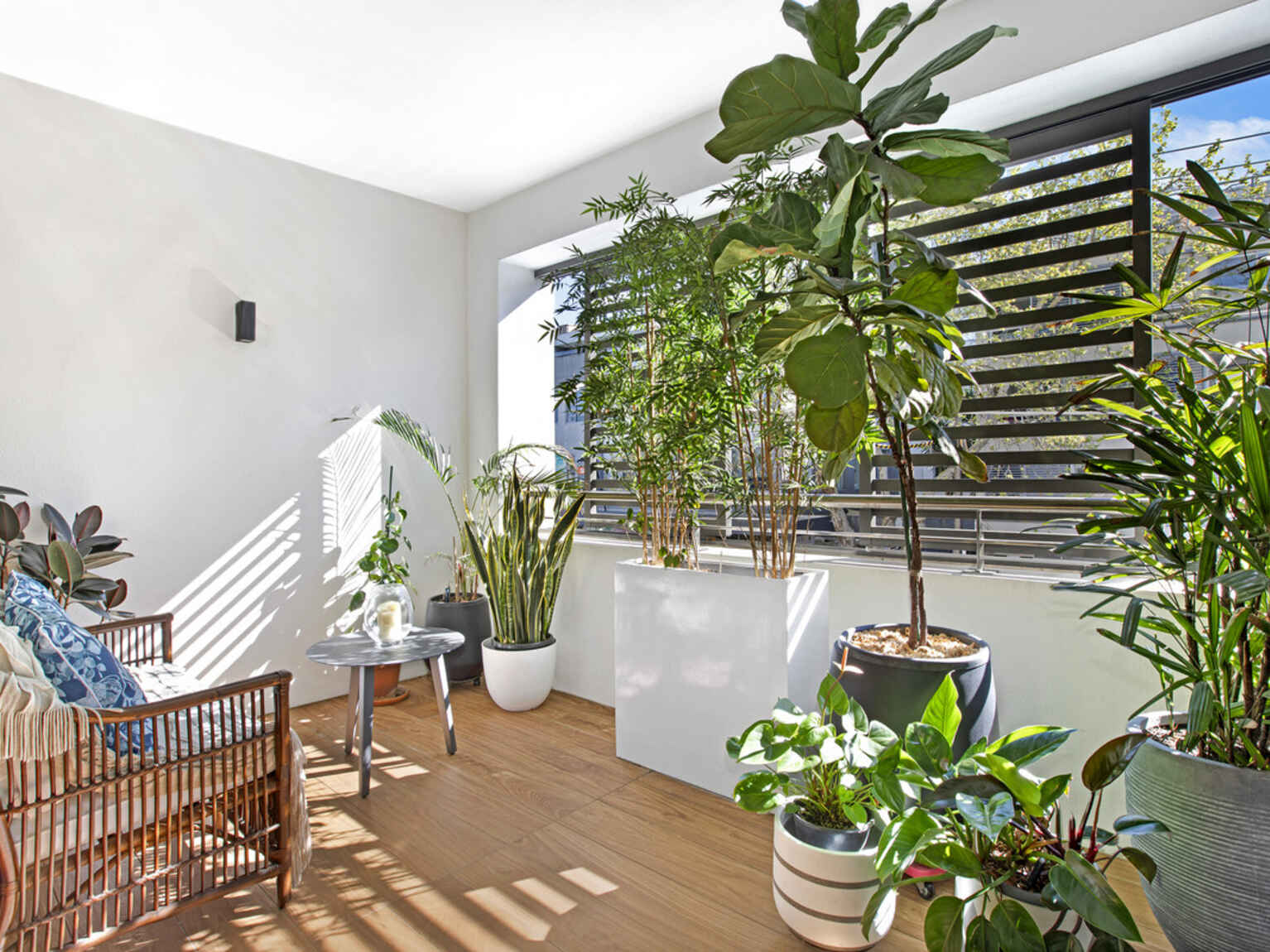 101/467 Miller Street Cammeray
