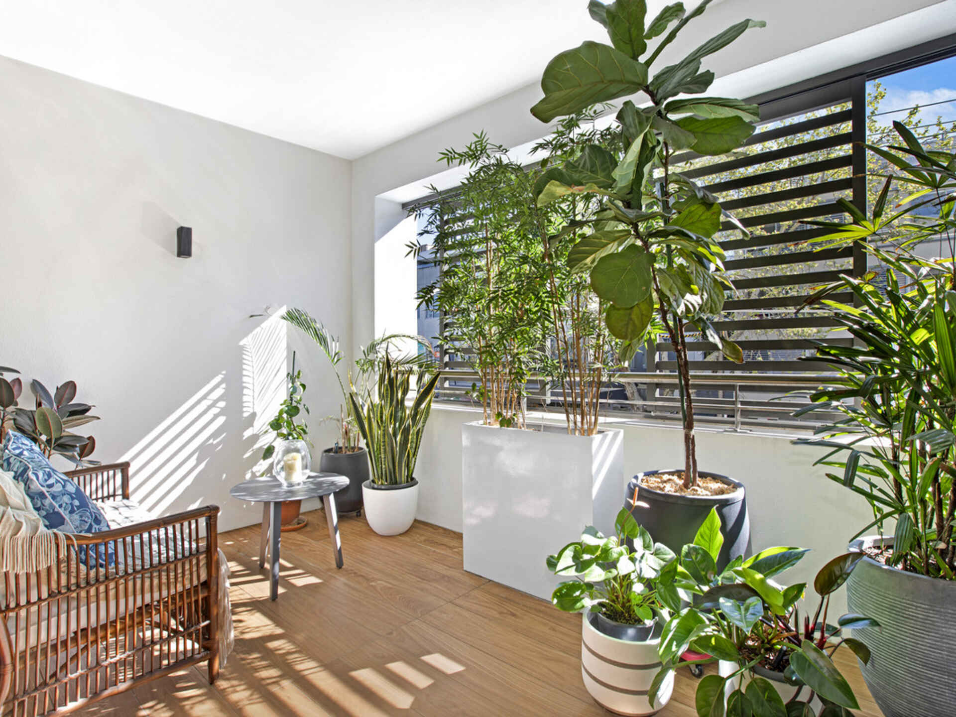 101/467 Miller Street Cammeray