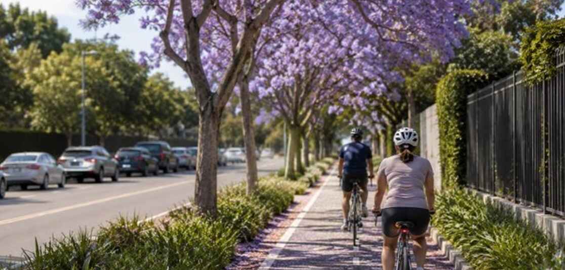 Why the Lower North Shore is becoming one of Sydney’s most connected addresses Why the Lower North Shore is becoming one of Sydney’s most connected addresses