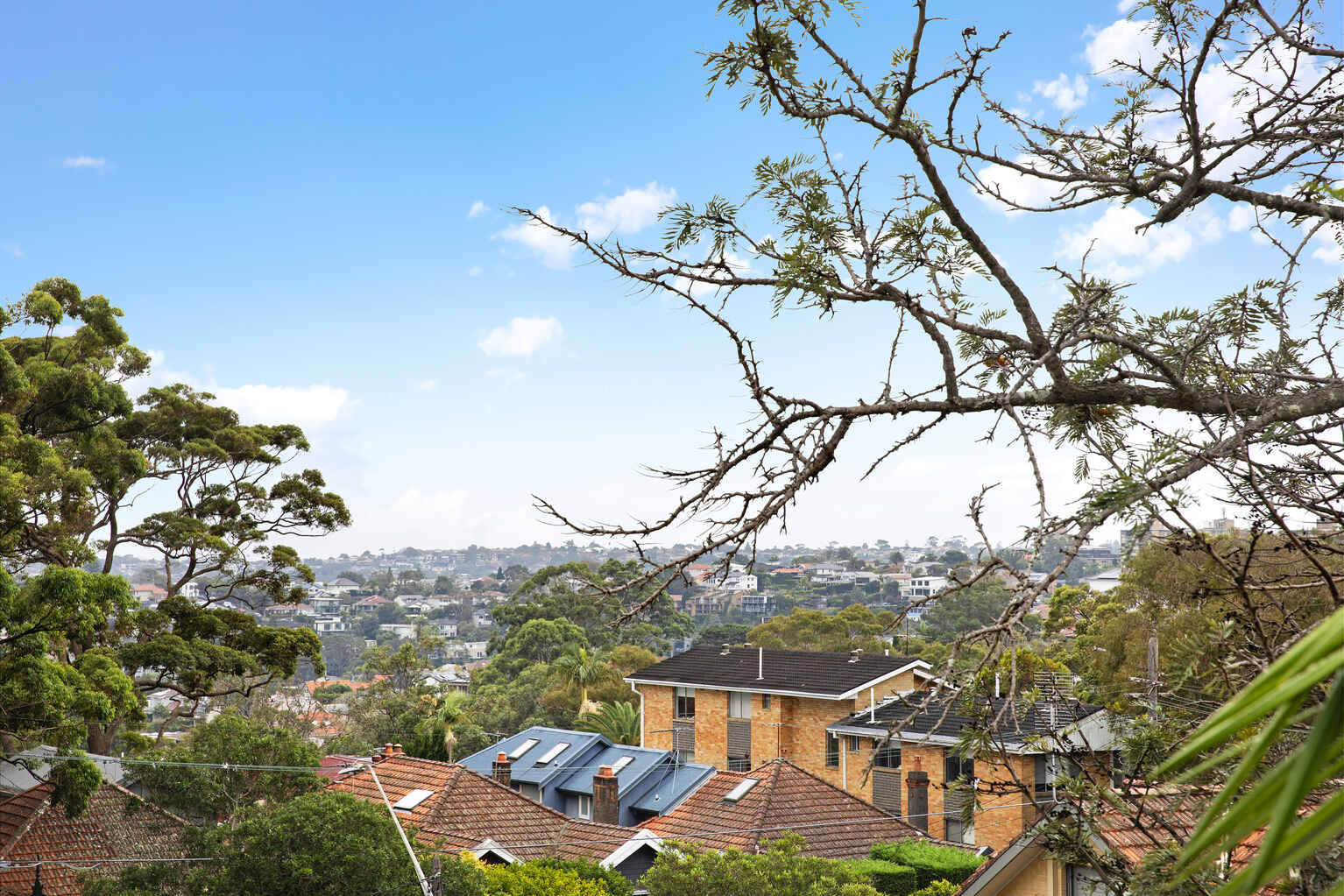 22/96 Ourimbah Road Mosman